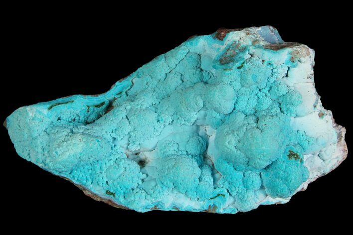 Botryoidal Chrysocolla - Congo #87153